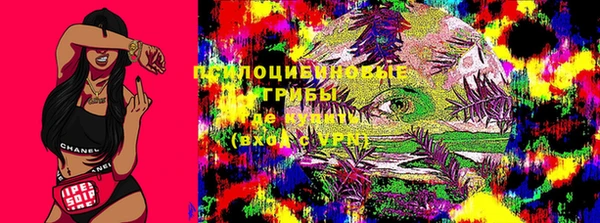 прущая мука Бородино