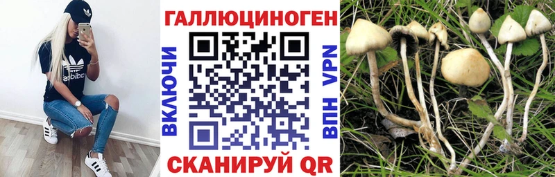 закладка  Киреевск  Галлюциногенные грибы MAGIC MUSHROOMS 